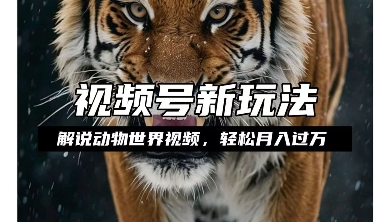 利用动物世界解说视频，赚分成计划收益，轻松月入过W，操作简单【揭秘】-网创资源吧