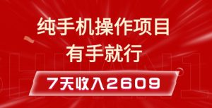 纯手机操作的小项目，有手就能做，7天收入2609+实操教程【揭秘】-网创资源吧