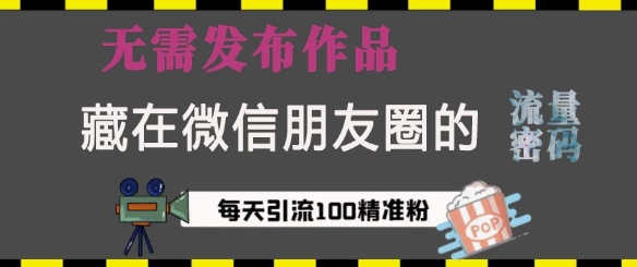 藏在微信朋友圈的流量密码，无需发布作品，单日引流100+精准创业粉【揭秘】-网创资源吧
