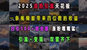 2025自热引流天花板，一条视频能带来四位数的收益，引流+变现双管齐下，日引500+创业粉，涨粉嘎嘎猛-网创资源吧