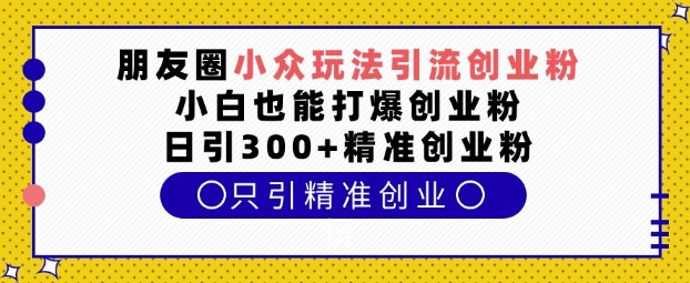 朋友圈小众玩法引流创业粉，小白也能打爆创业粉，日引300+精准创业粉【揭秘】-网创资源吧