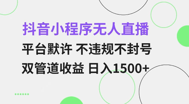 抖音小程序无人直播 平台默许 不违规不封号 双管道收益 日入多张 小白也能轻松操作【仅揭秘】-网创资源吧