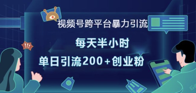 视频号跨平台暴力引流，每天半小时，单日引流200+精准创业粉-网创资源吧