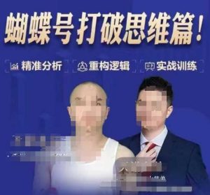 天诺老吴蝴蝶号50节线上课,蝴蝶号打破思维篇-网创资源吧