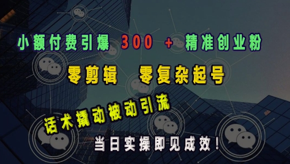 小额付费引爆 300 + 精准创业粉，零剪辑、零复杂起号，话术撬动被动引流，当日实操即见成效-网创资源吧