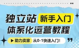 独立站新手入门体系化运营教程,助力独立站卖家从0-1快速入门!-网创资源吧