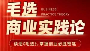 毛选商业实践论,读透《毛选》掌握创业必胜密匙-网创资源吧