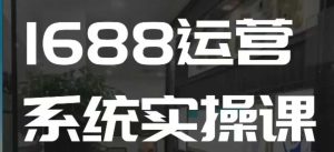 1688高阶运营系统实操课,快速掌握1688店铺运营的核心玩法-网创资源吧