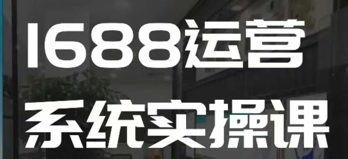 1688高阶运营系统实操课，快速掌握1688店铺运营的核心玩法-网创资源吧