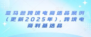 亚马逊跨境电商选品案例(更新2025年),跨境电商利基选品-网创资源吧