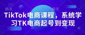 TikTok电商课程,系统学习TK电商起号到变现-网创资源吧