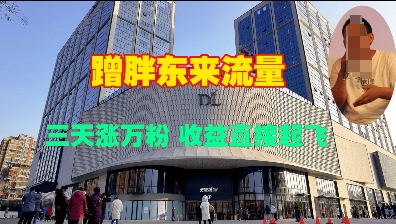蹭胖东来流量，三天涨万粉，收益直接起飞-网创资源吧