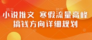 小说推文 寒假流量高峰 搞钱方向详细规划-网创资源吧