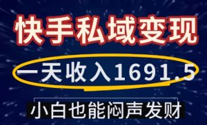 一天收入1691.5，快手私域变现，小白也能闷声发财-网创资源吧