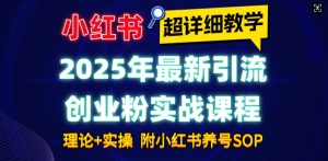 2025年最新小红书引流创业粉实战课程【超详细教学】小白轻松上手，月入1W+，附小红书养号SOP-网创资源吧