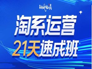淘系运营21天速成班35期，年前最后一波和2025方向-网创资源吧