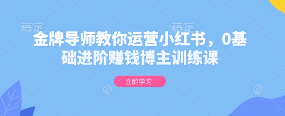 金牌导师教你运营小红书，0基础进阶赚钱博主训练课-网创资源吧