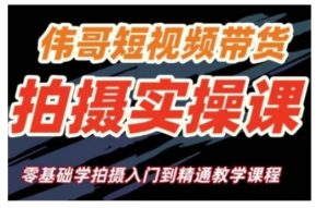 短视频带货拍摄实操课,零基础学拍摄入门到精通教学-网创资源吧