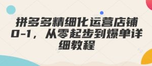 拼多多精细化运营店铺0-1，从零起步到爆单详细教程-网创资源吧