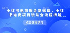 小红书电商掘金课，小红书电商项目玩法全流程拆解-网创资源吧