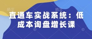 直通车实战系统：低成本询盘增长课，让个人通过技能实现升职加薪，让企业低成本获客，订单源源不断-网创资源吧
