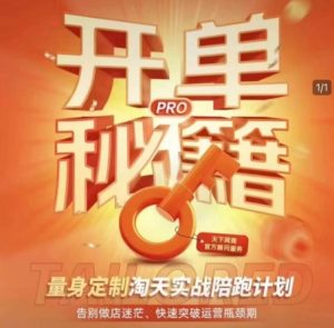 淘宝开单秘籍PRO，量身定制淘天实战陪跑计划，告别做店迷茫、快速突破运营瓶颈期-网创资源吧