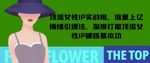 顶流女性IP实战班，流量上亿情绪引爆法，深度打磨顶流女性IP硬核基本功-网创资源吧