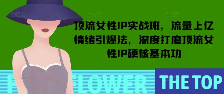 顶流女性IP实战班，流量上亿情绪引爆法，深度打磨顶流女性IP硬核基本功-网创资源吧