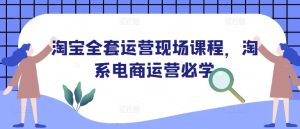 淘宝全套运营现场课程,淘系电商运营必学-网创资源吧