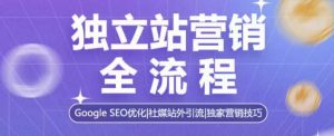 独立站营销全流程，Google SEO优化，社媒站外引流，独家营销技巧-网创资源吧
