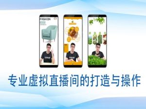 个人虚拟直播间的搭建与操作，专业虚拟直播间的打造与操作-网创资源吧