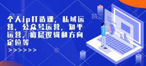 个人ip打造课,私域运营,公众号运营,知乎运营,底层逻辑和方向定位等-网创资源吧