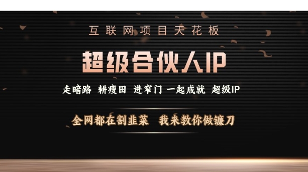 互联网项目天花板，超级合伙人IP，全网都在割韭菜，我来教你做镰刀【仅揭秘】-网创资源吧
