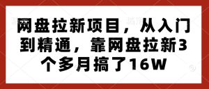 网盘拉新项目,从入门到精通,靠网盘拉新3个多月搞了16W-网创资源吧