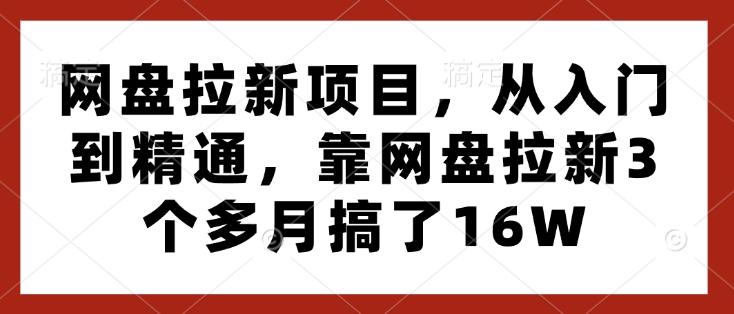 网盘拉新项目，从入门到精通，靠网盘拉新3个多月搞了16W-网创资源吧
