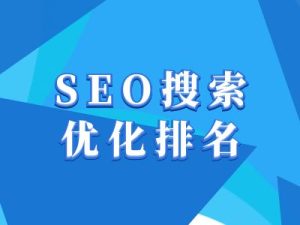 抖音搜索SEO教程，抖音SEO搜索优化排名-网创资源吧