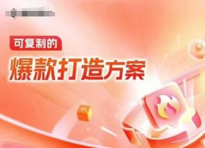 天猫电商爆款运营,可复制的爆款打造方案(线下内训课录音+字幕)-网创资源吧