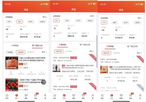 2025最新京东蓝海项目，0 门槛日入 1k+，小白宝妈轻松上手【揭秘】-网创资源吧